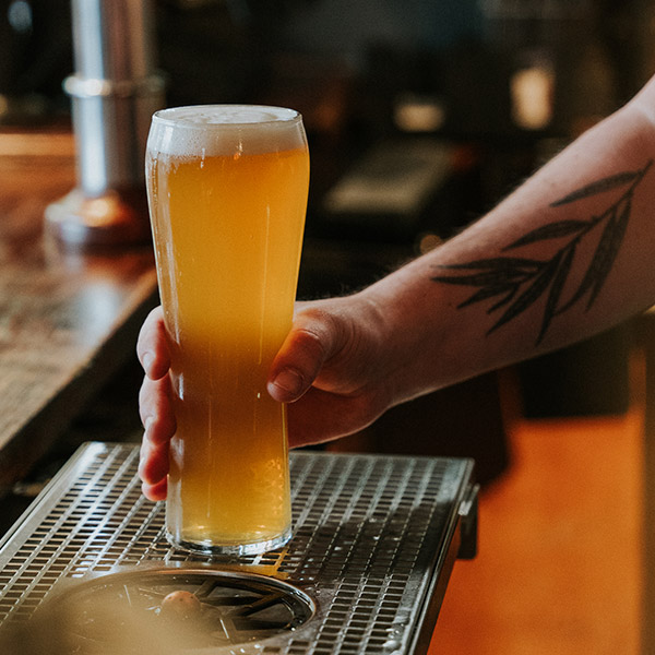 Beer & Cider