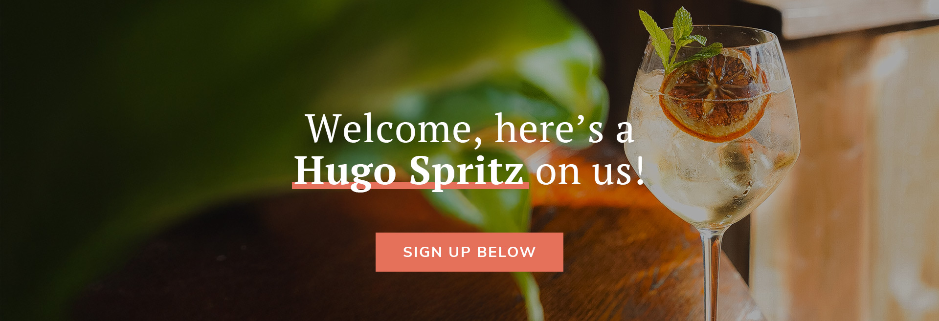 Sign up to the newsletter at The Angel